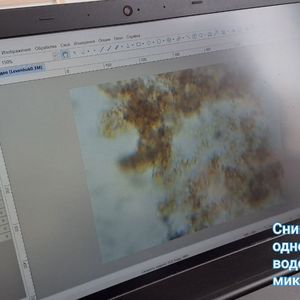 "Экология окружающей среды"